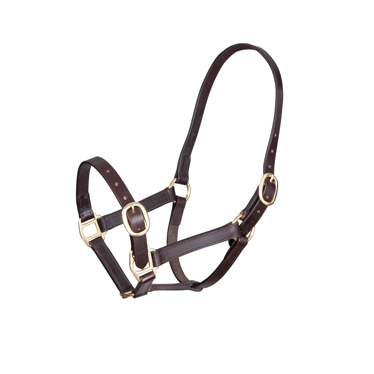 Shires Velociti GARA Adjustable Leather Foal Headcollar