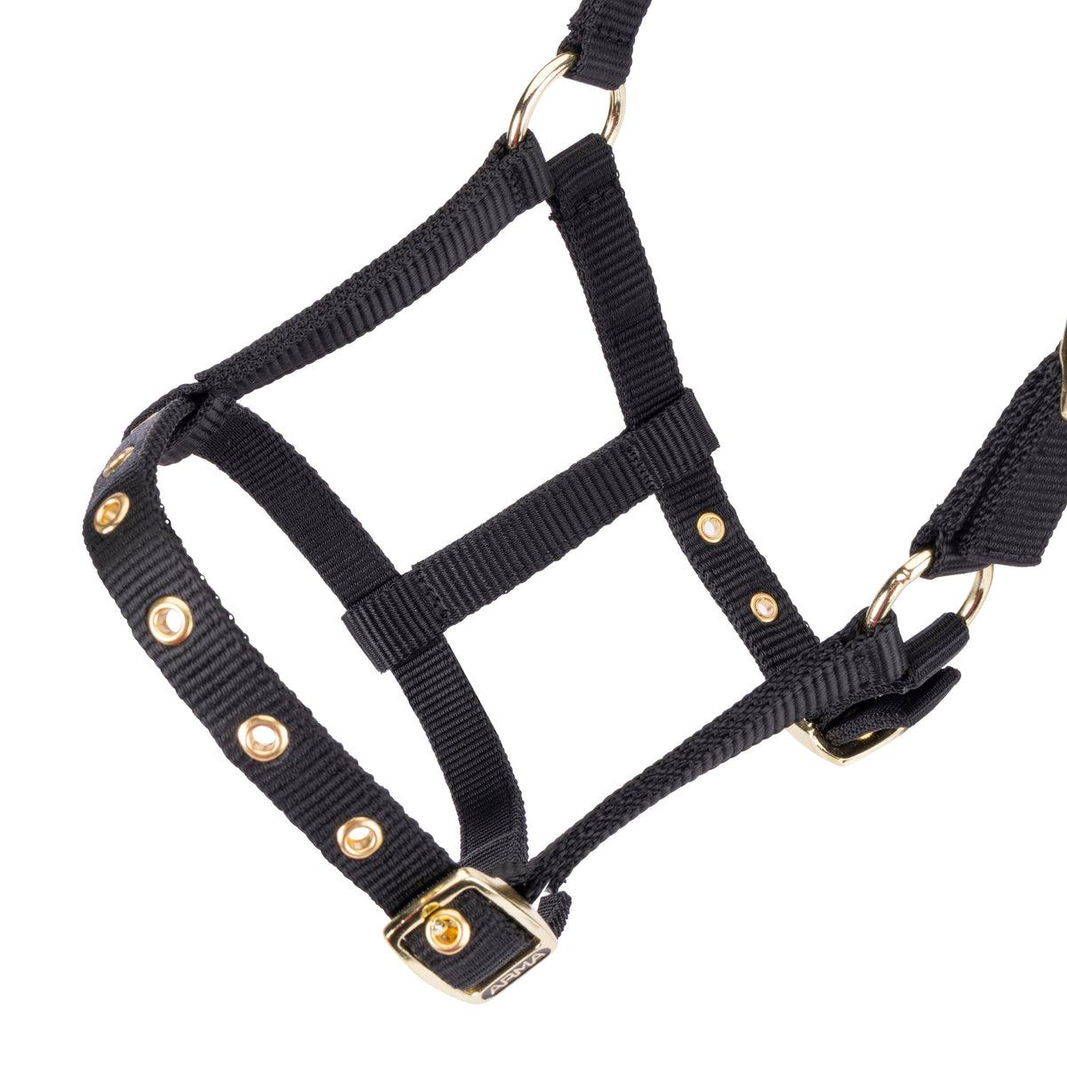 Shires Fohlen-Halfter aus Nylon