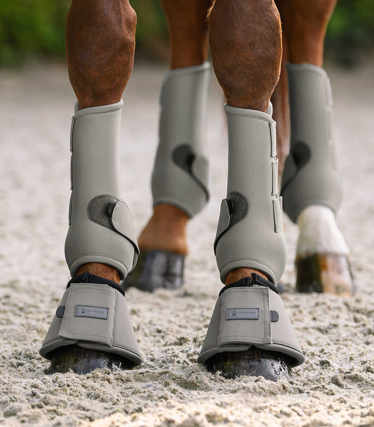 Waldhausen Bell Boots Performance