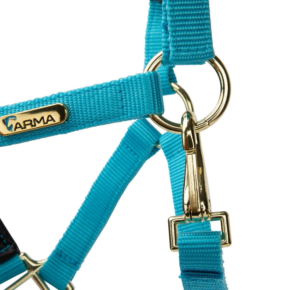 Licol Shires Topaz en nylon