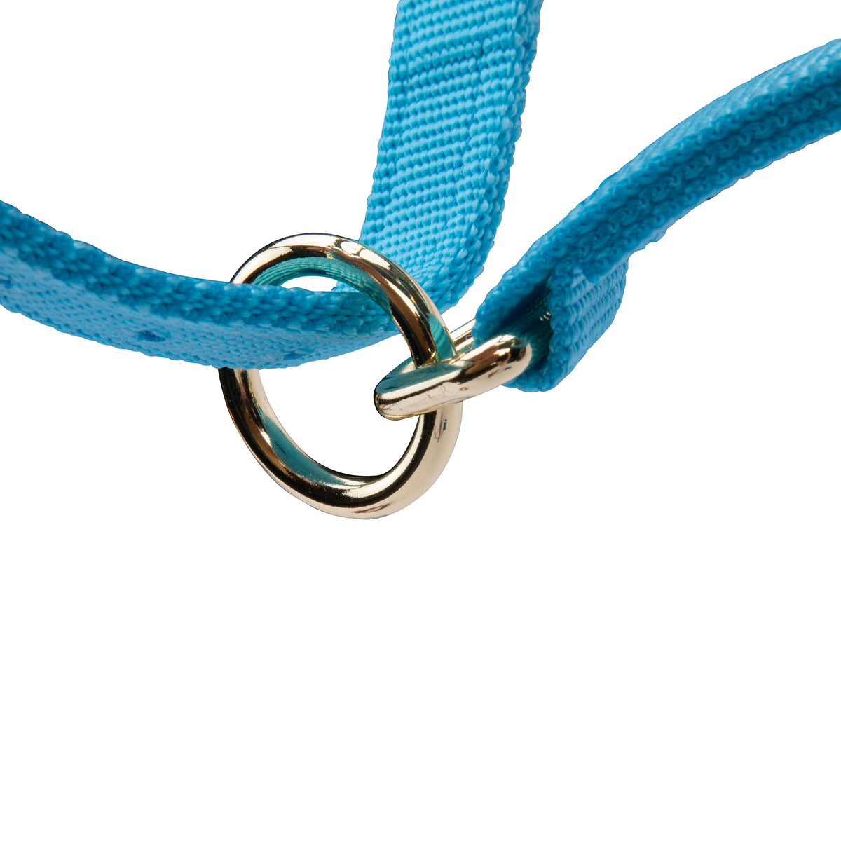 Licol Shires Topaz en nylon