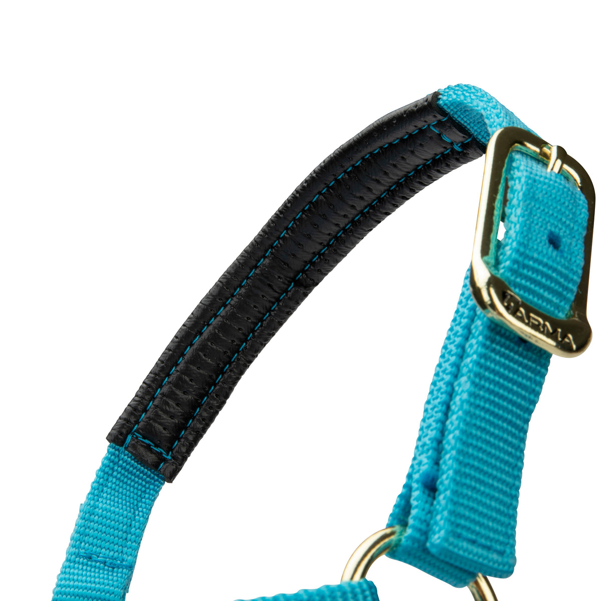 Licol Shires Topaz en nylon