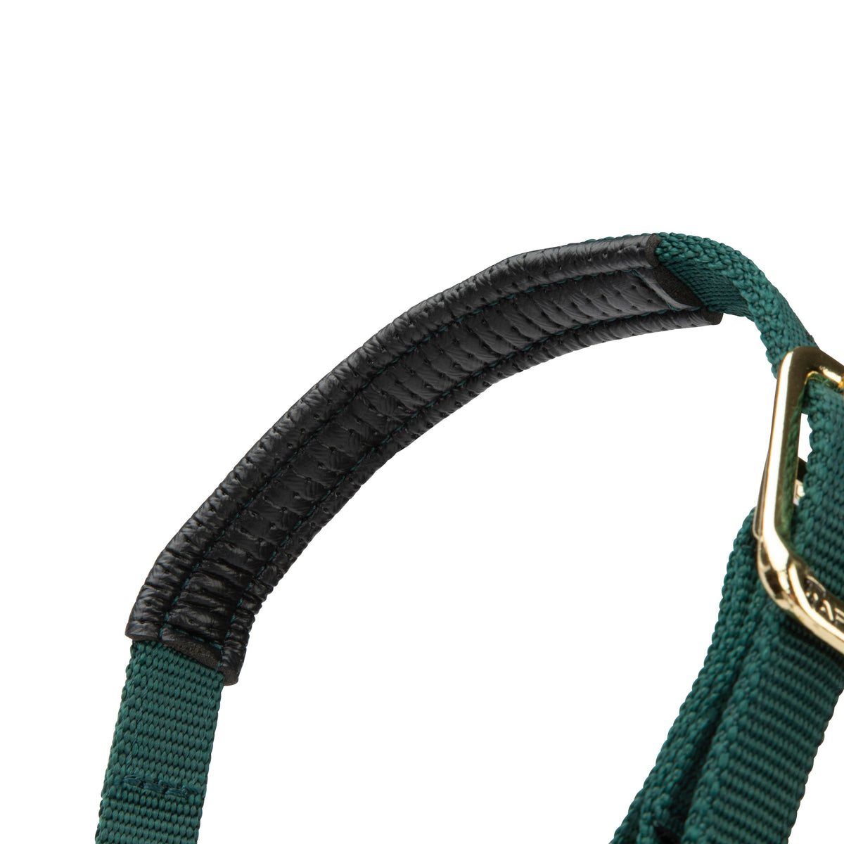 Licol Shires Topaz en nylon