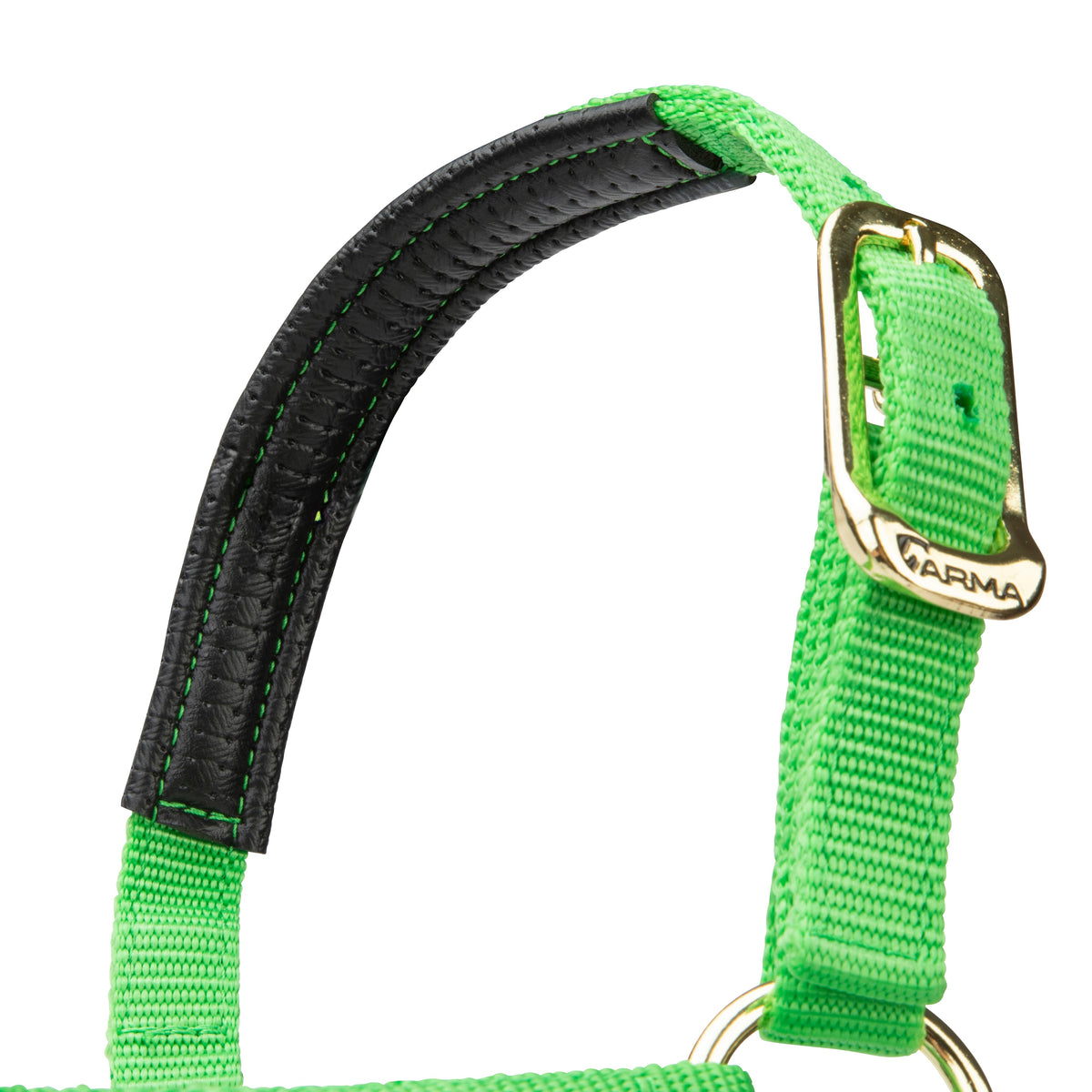 Licol Shires Topaz en nylon