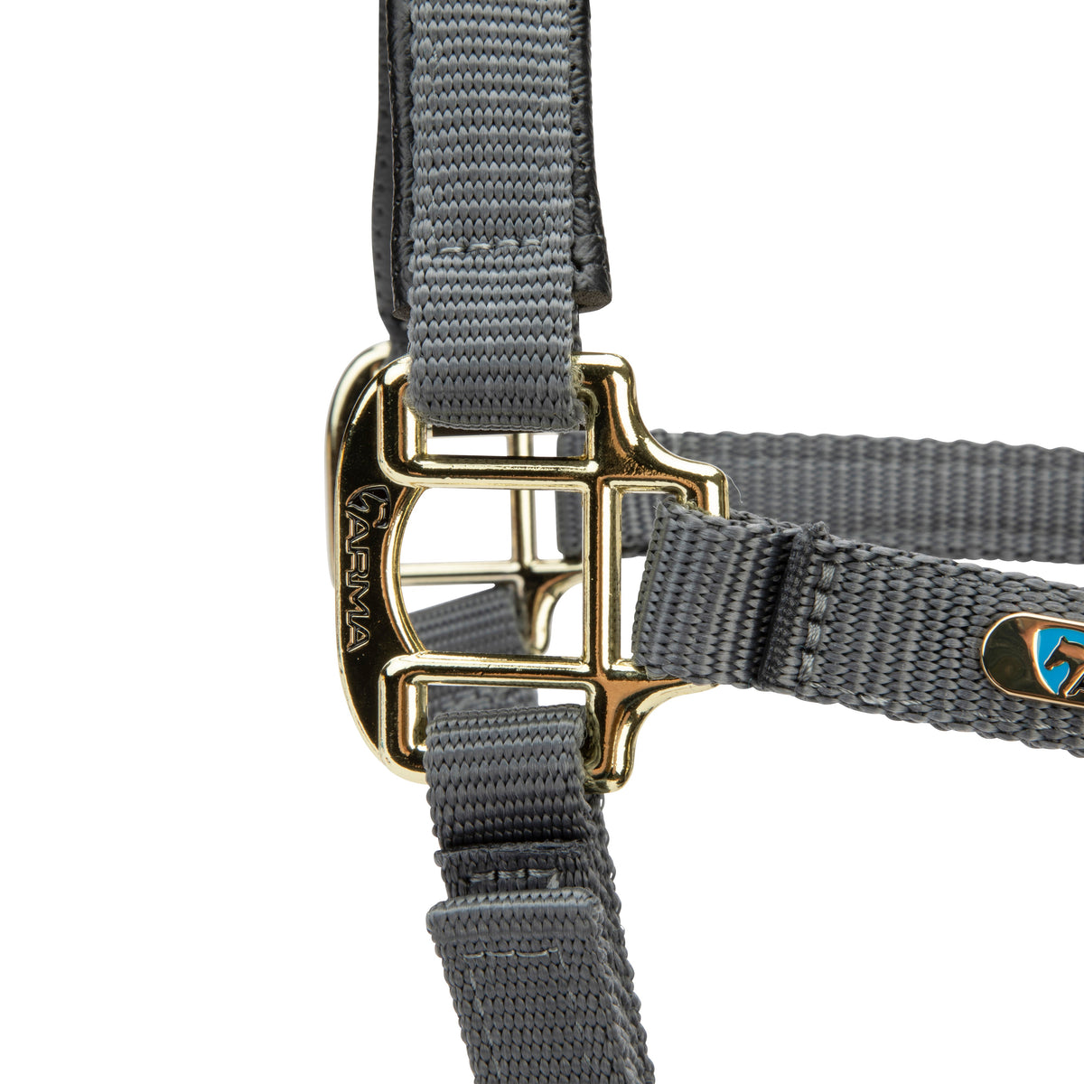 Licol Shires Topaz en nylon