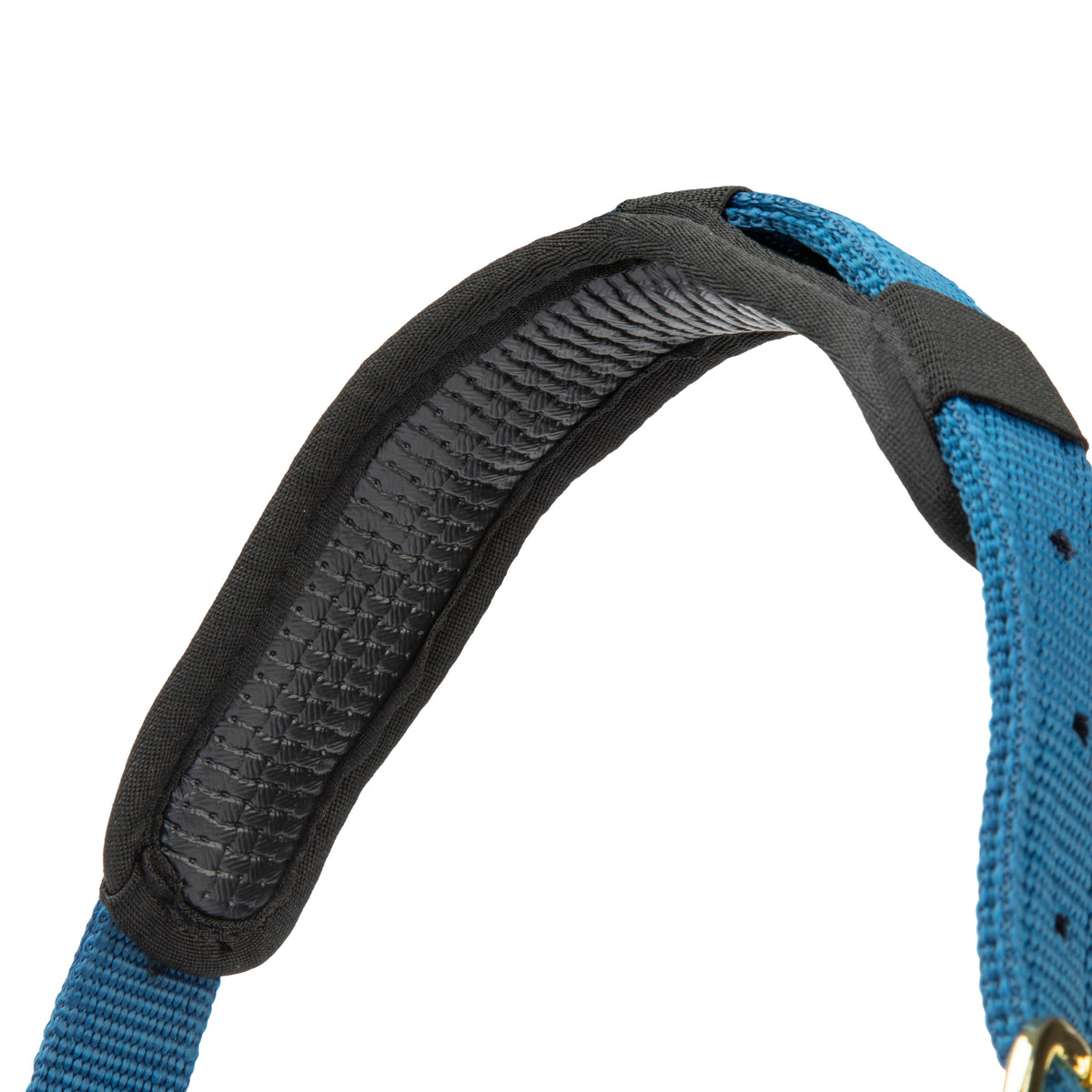 Licol Shires Topaz en nylon