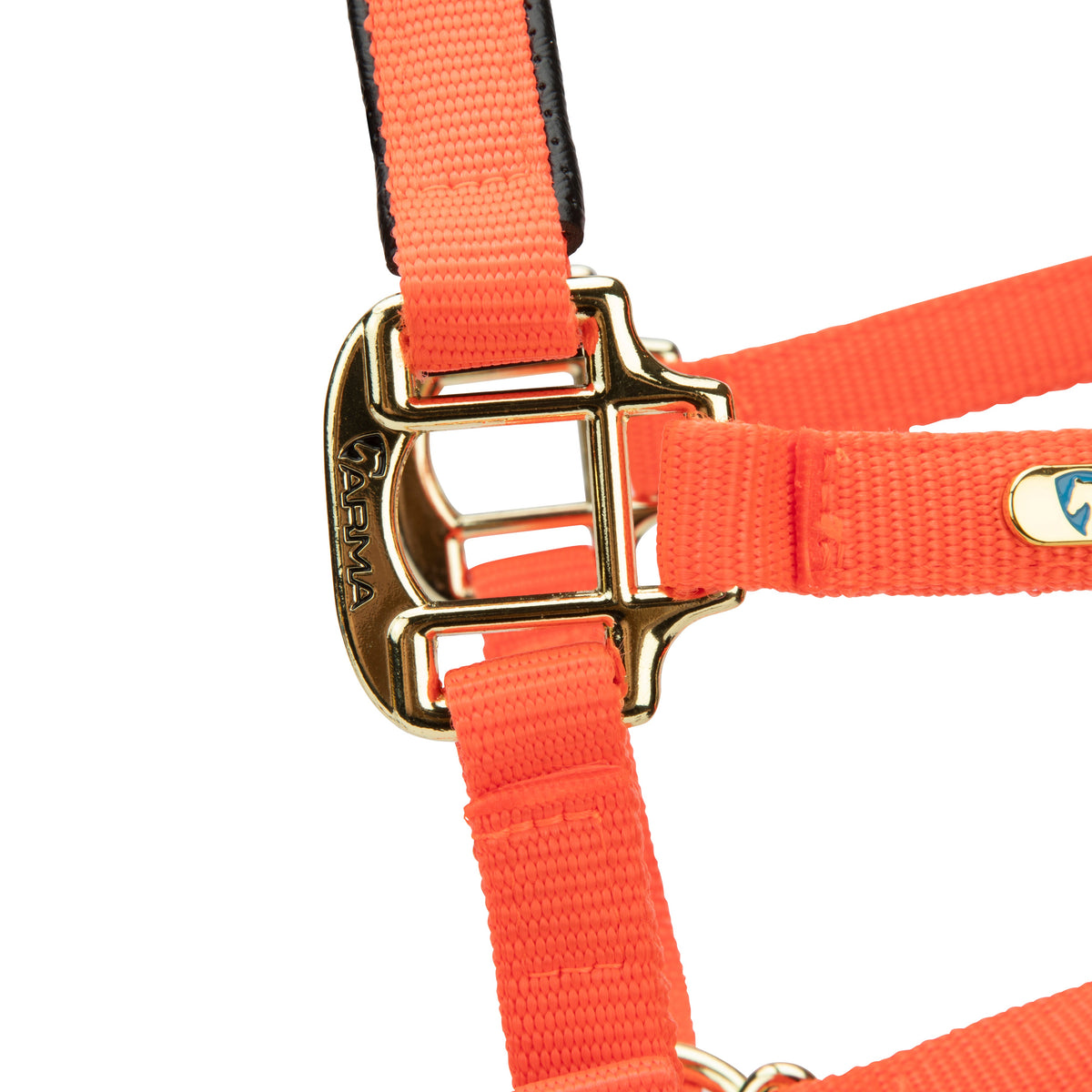 Licol Shires Topaz en nylon
