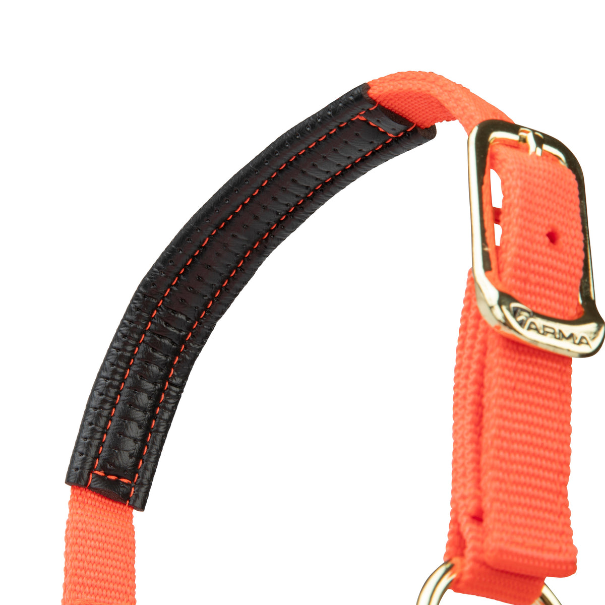 Licol Shires Topaz en nylon