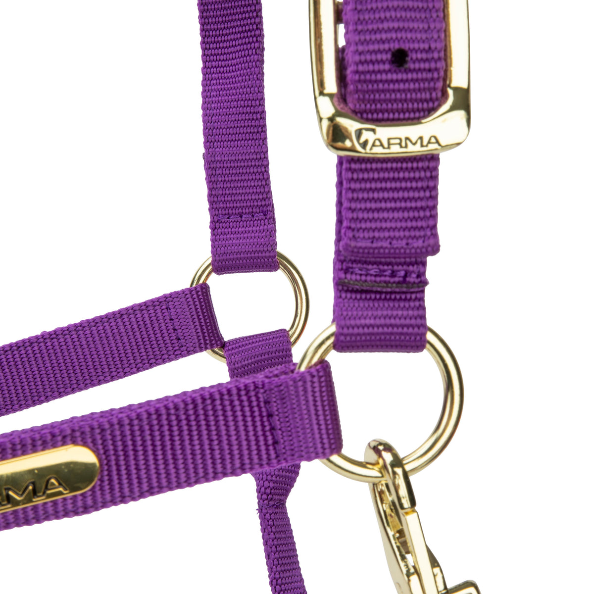 Licol Shires Topaz en nylon
