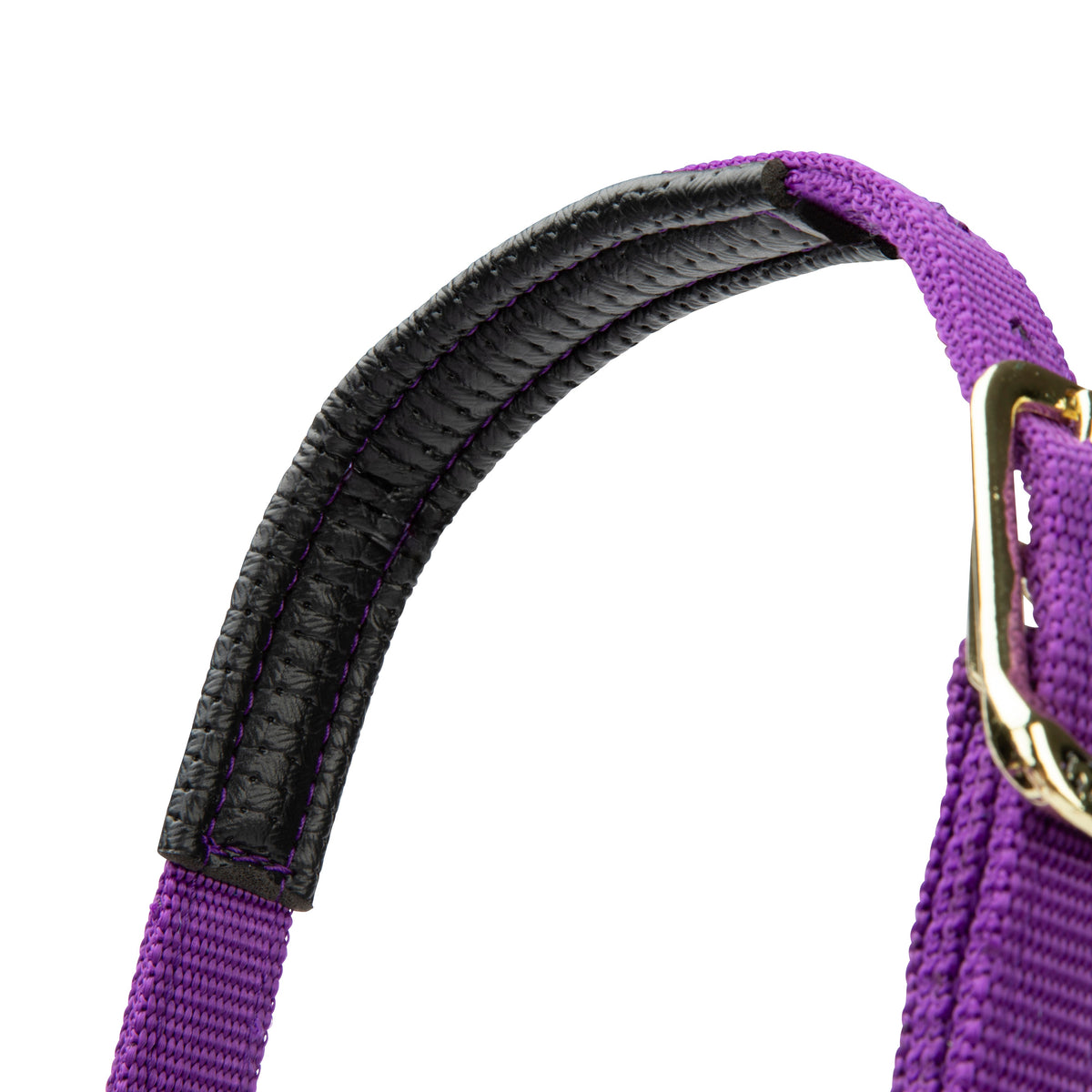 Licol Shires Topaz en nylon