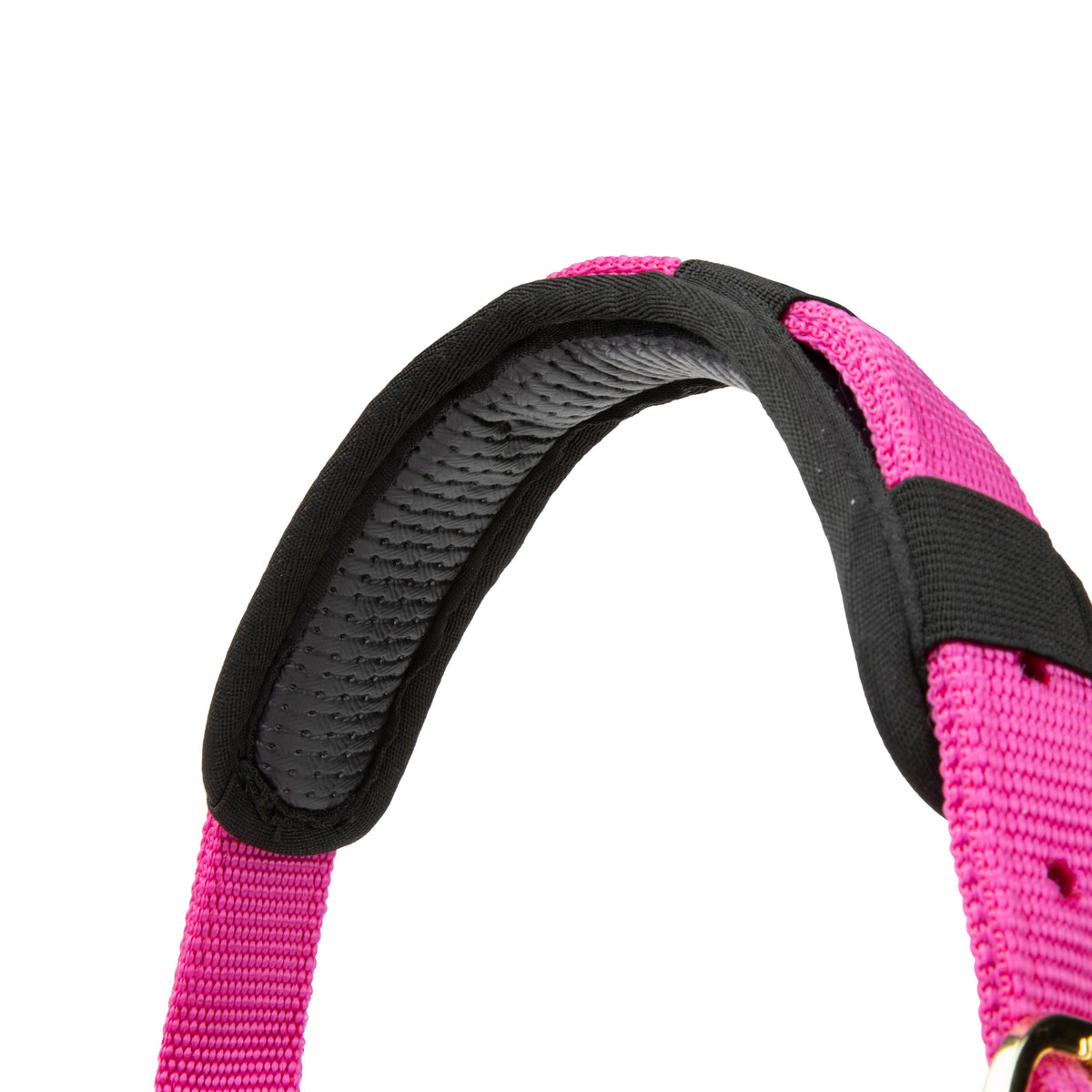 Licol Shires Topaz en nylon