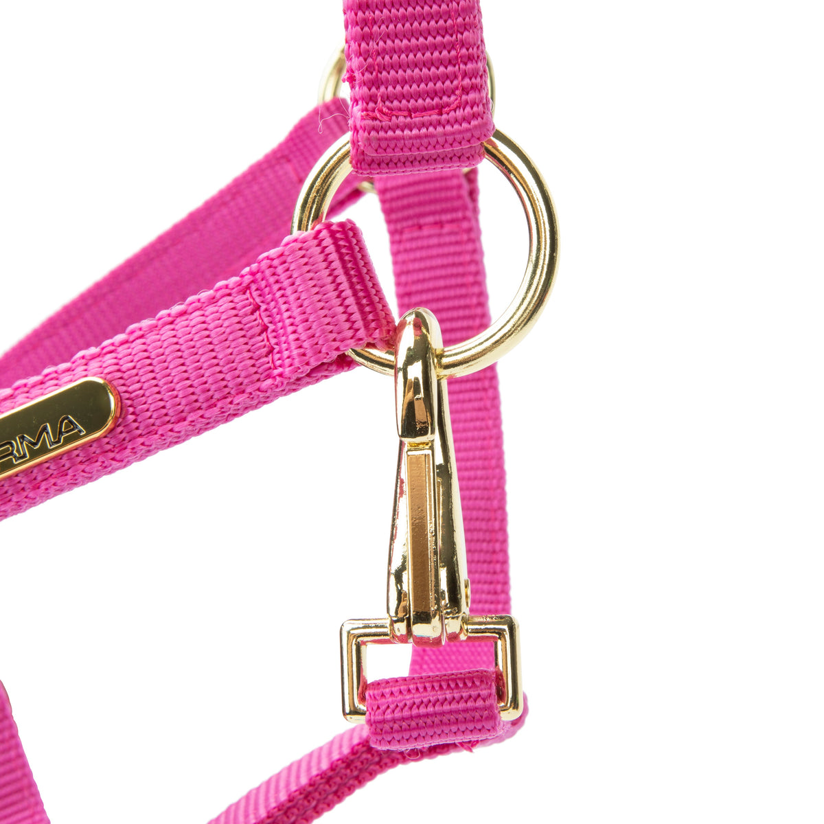 Licol Shires Topaz en nylon