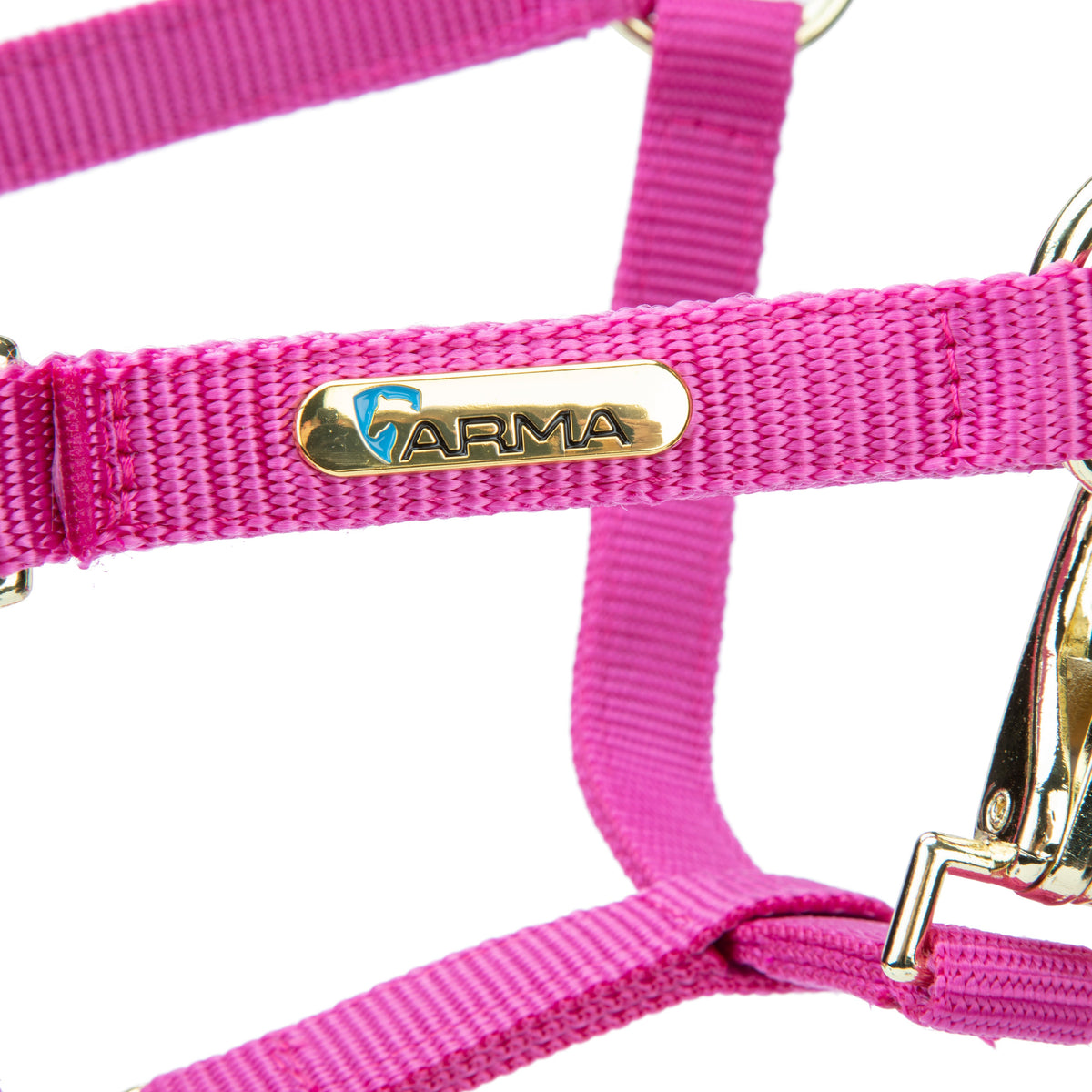 Licol Shires Topaz en nylon