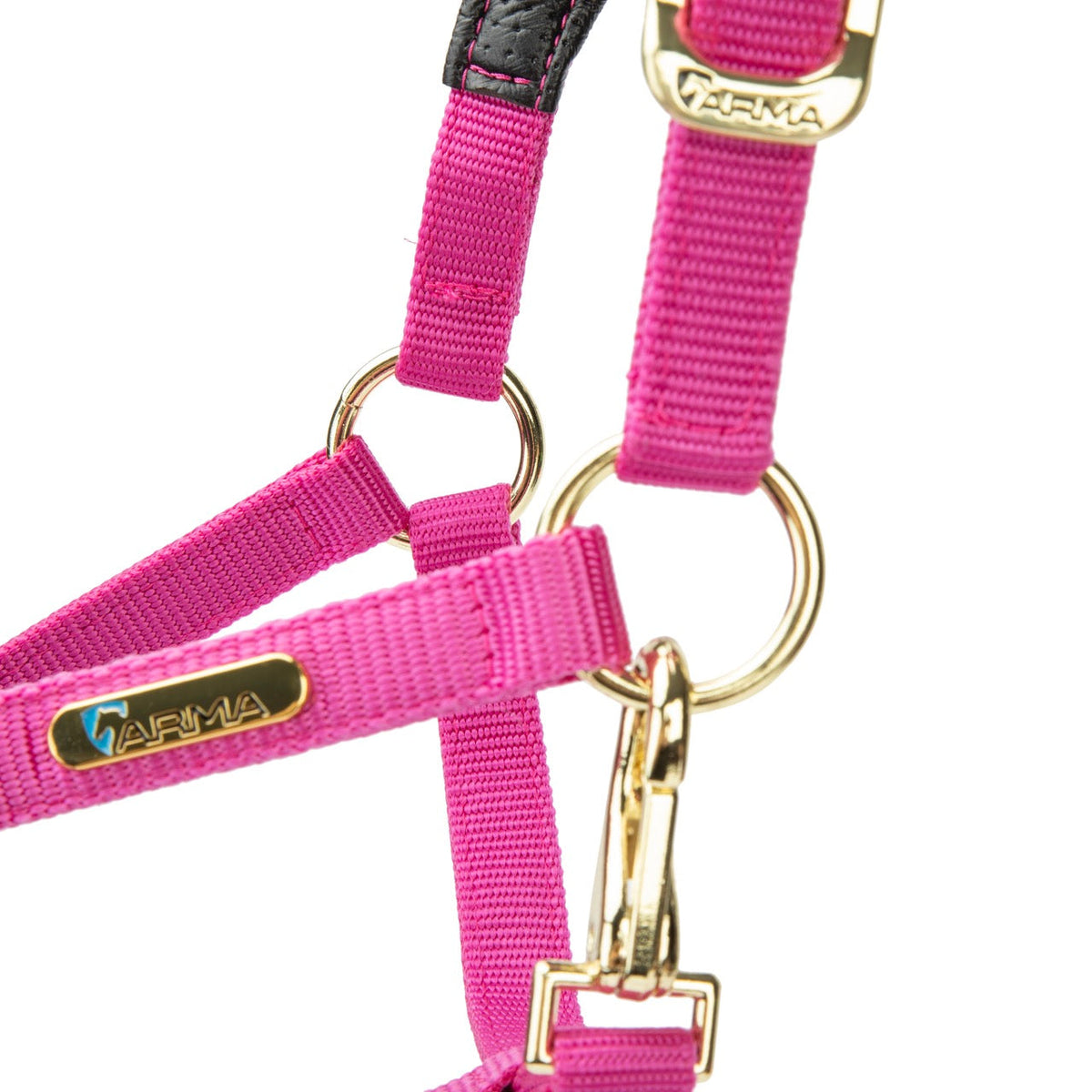 Licol Shires Topaz en nylon