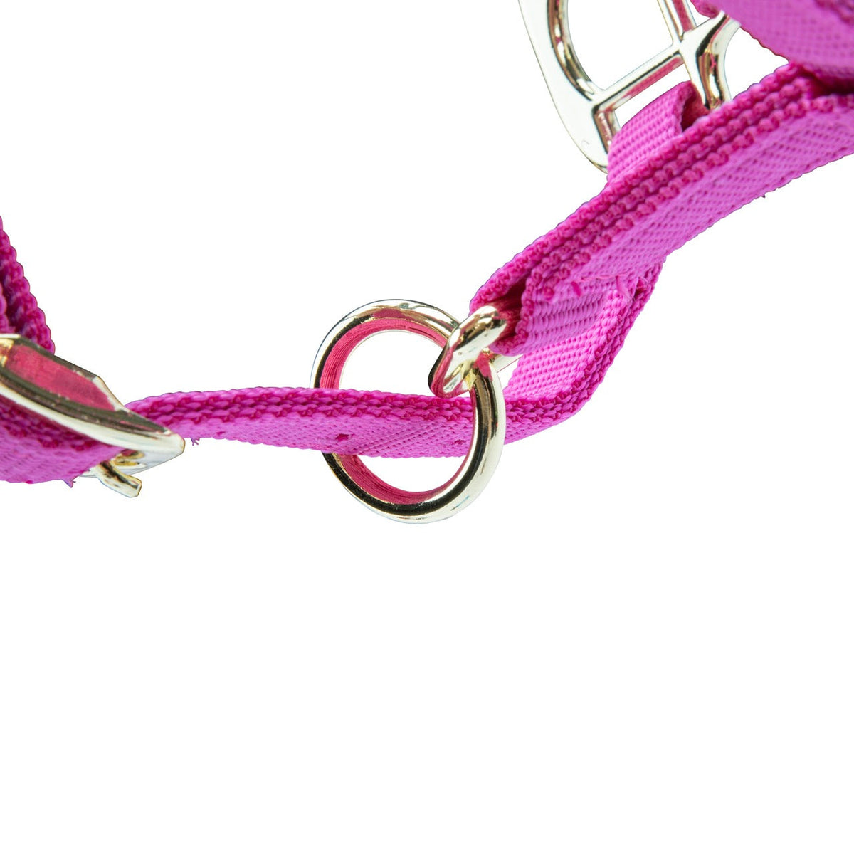 Licol Shires Topaz en nylon