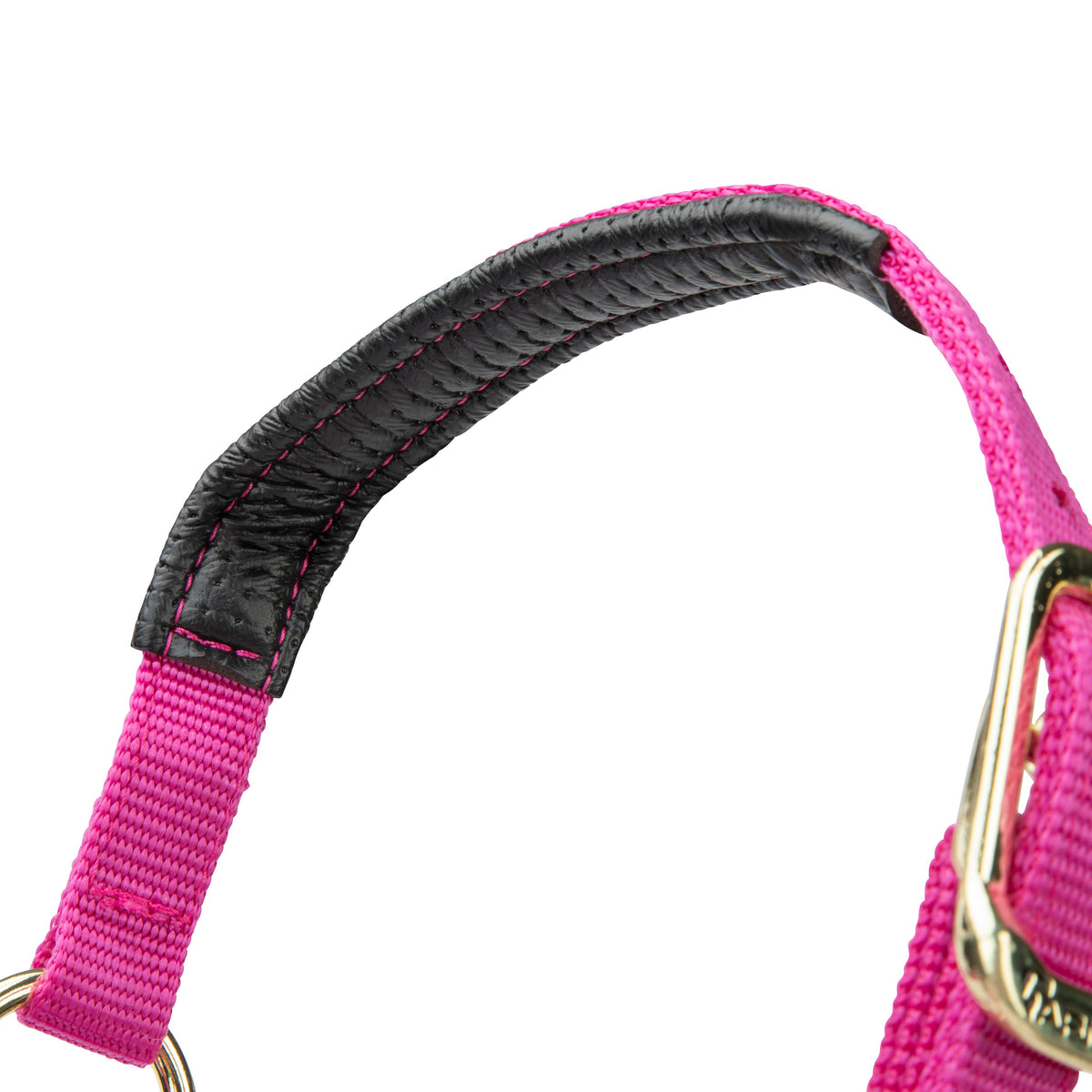 Licol Shires Topaz en nylon