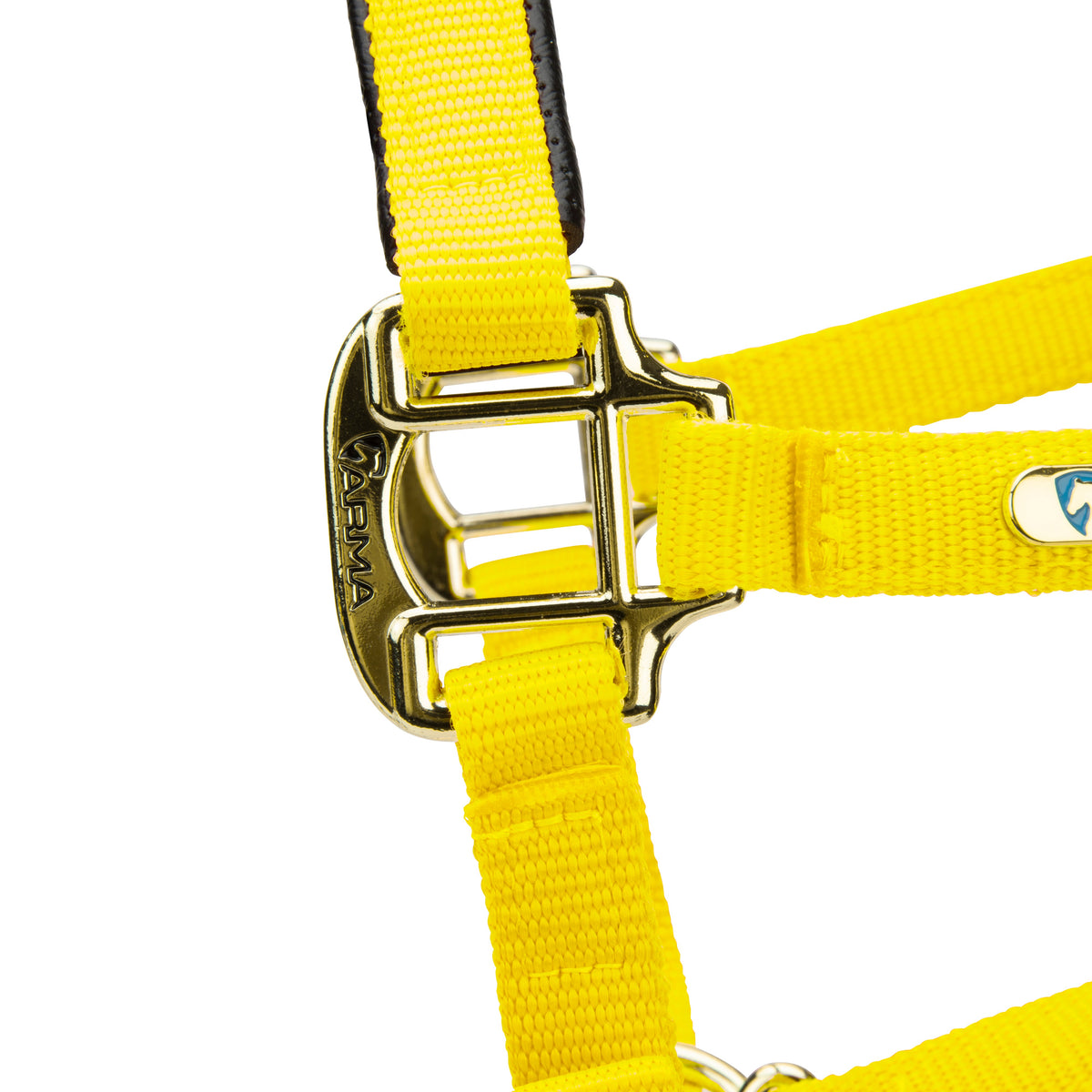 Licol Shires Topaz en nylon