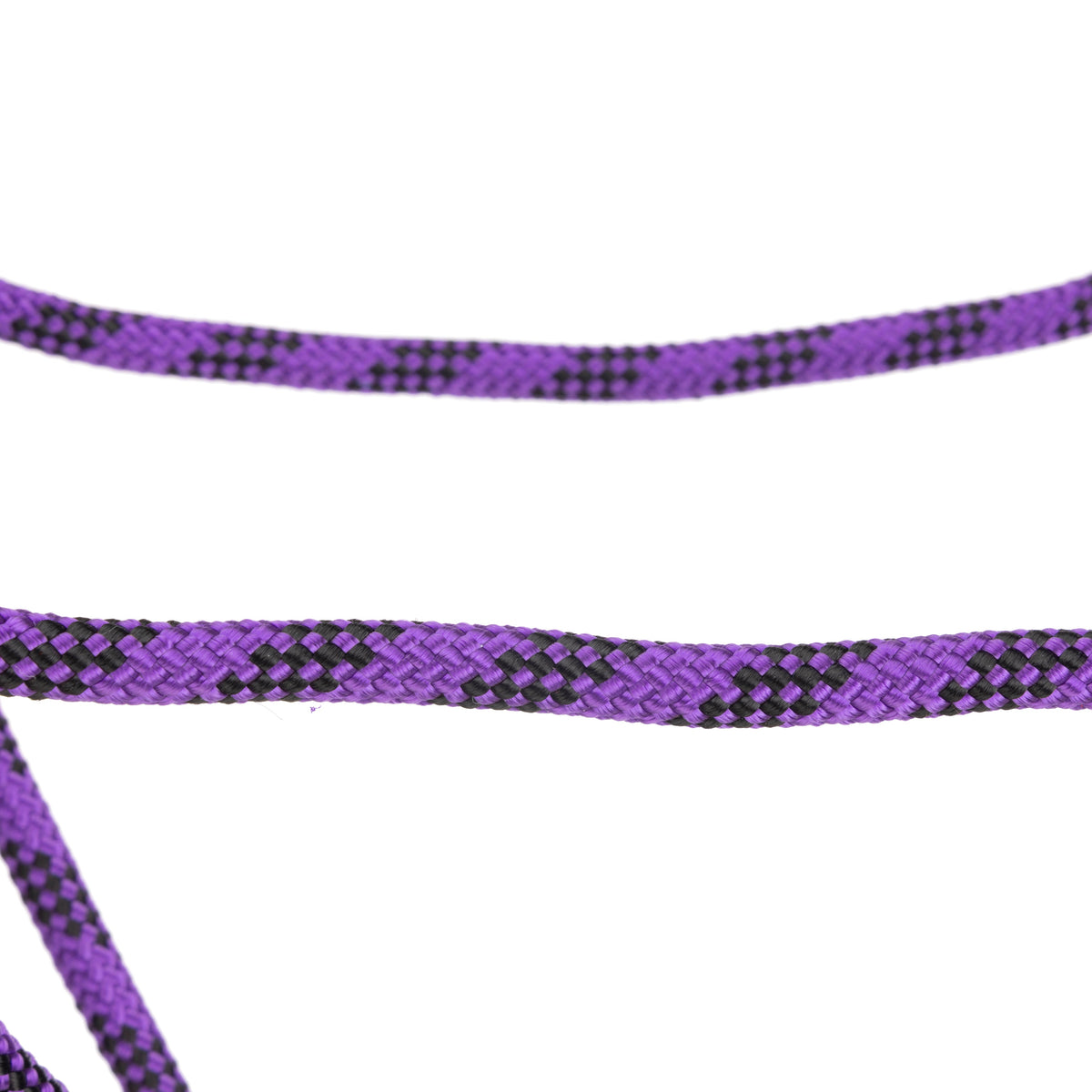 Licol Shires Rope Control