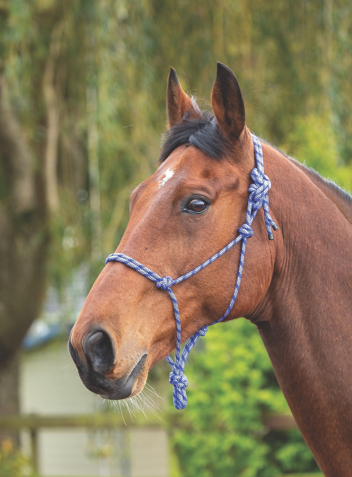 Licol Shires Rope Control