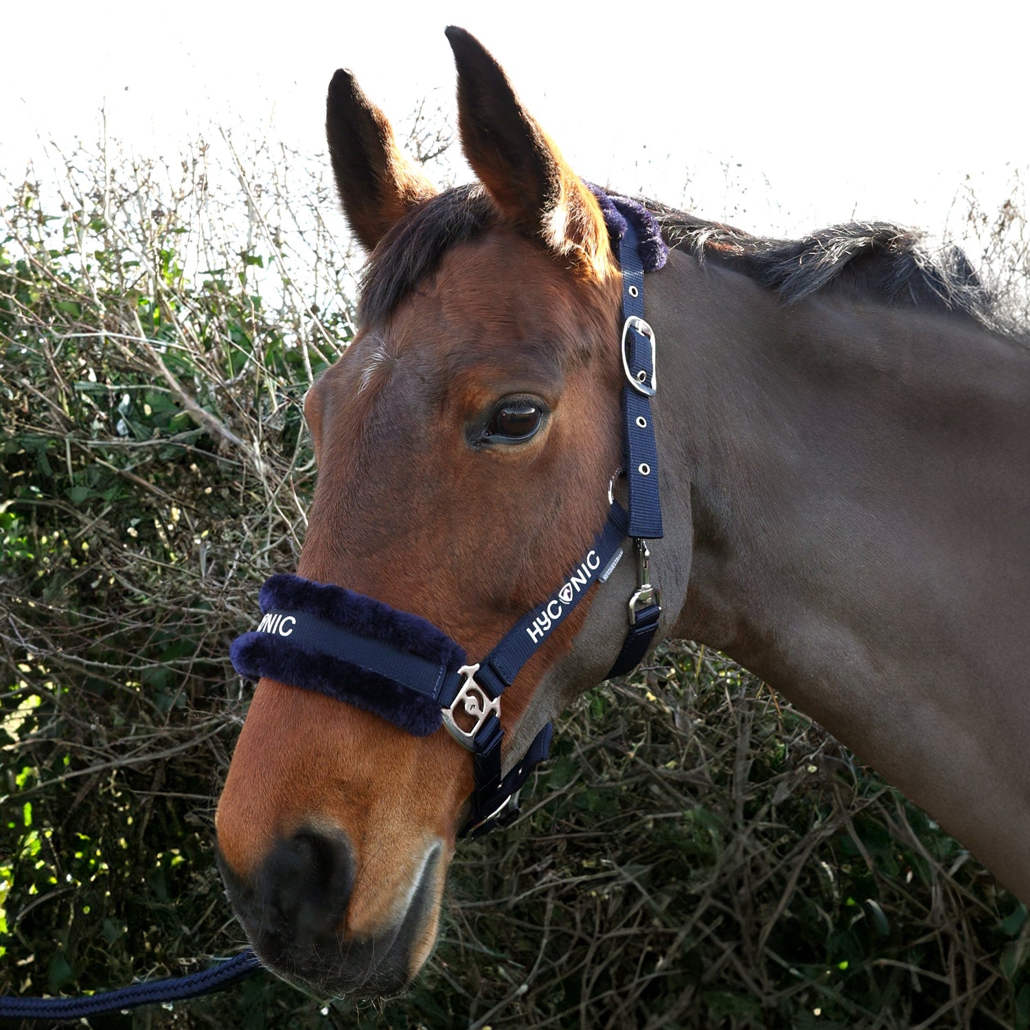 HYCONIC Faux Fur Head Collar & Lead Rope #colour_navy