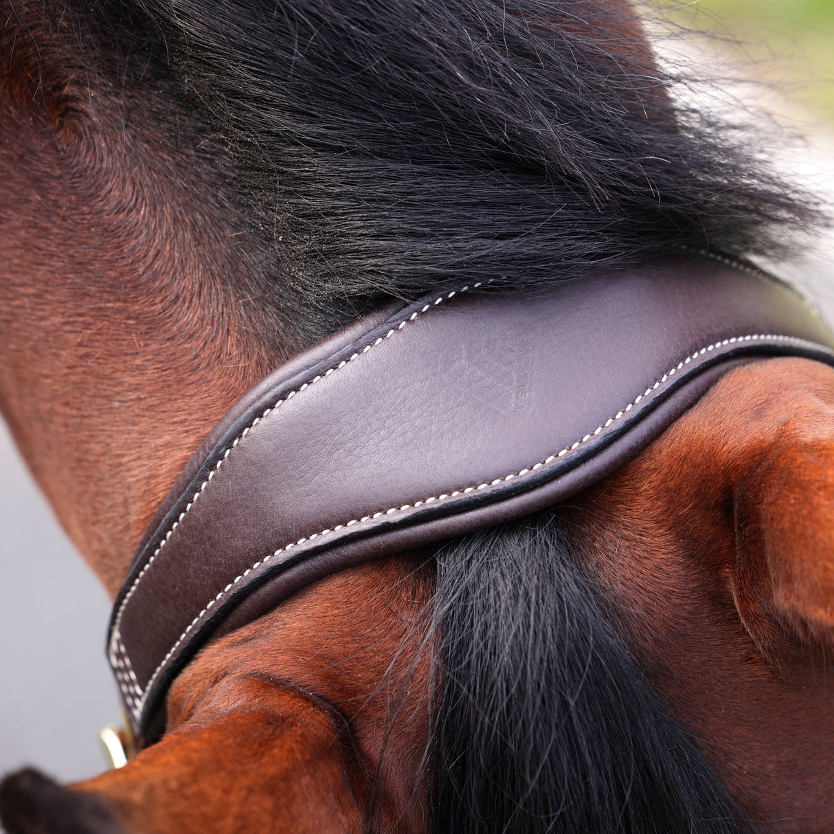 Shires Velociti Lusso Padded Leather Headcollar #colour_havana