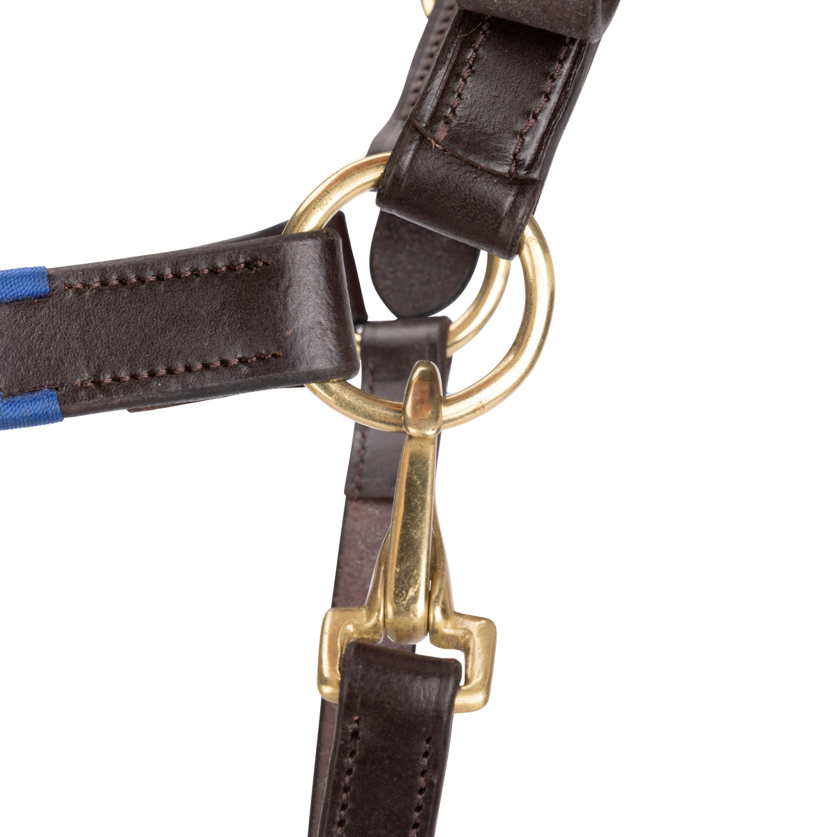 Licol polo en cuir Shires Velociti GARA