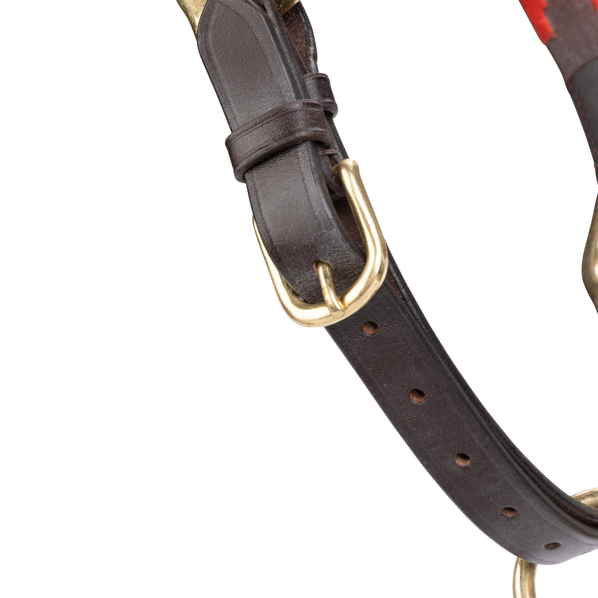 Licol polo en cuir Shires Velociti GARA