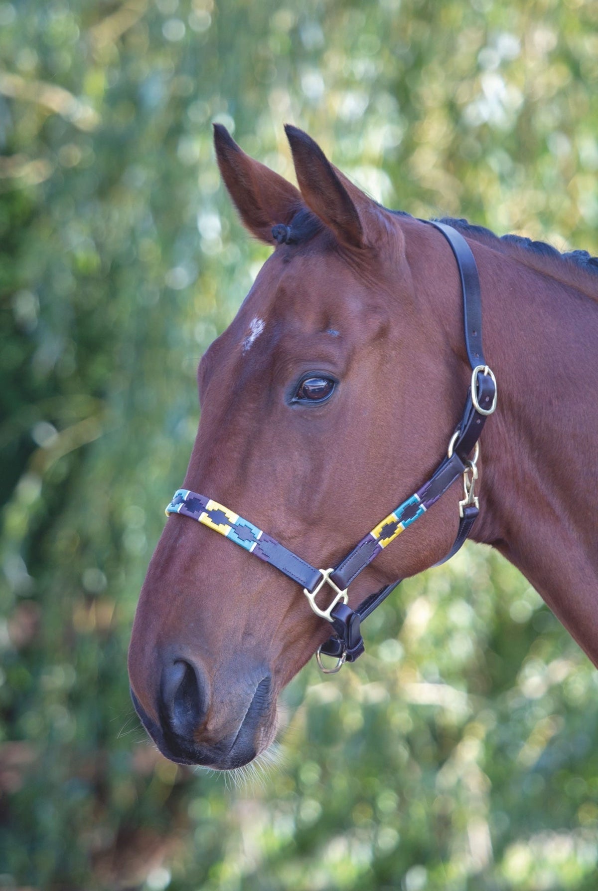 Licol polo en cuir Shires Velociti GARA