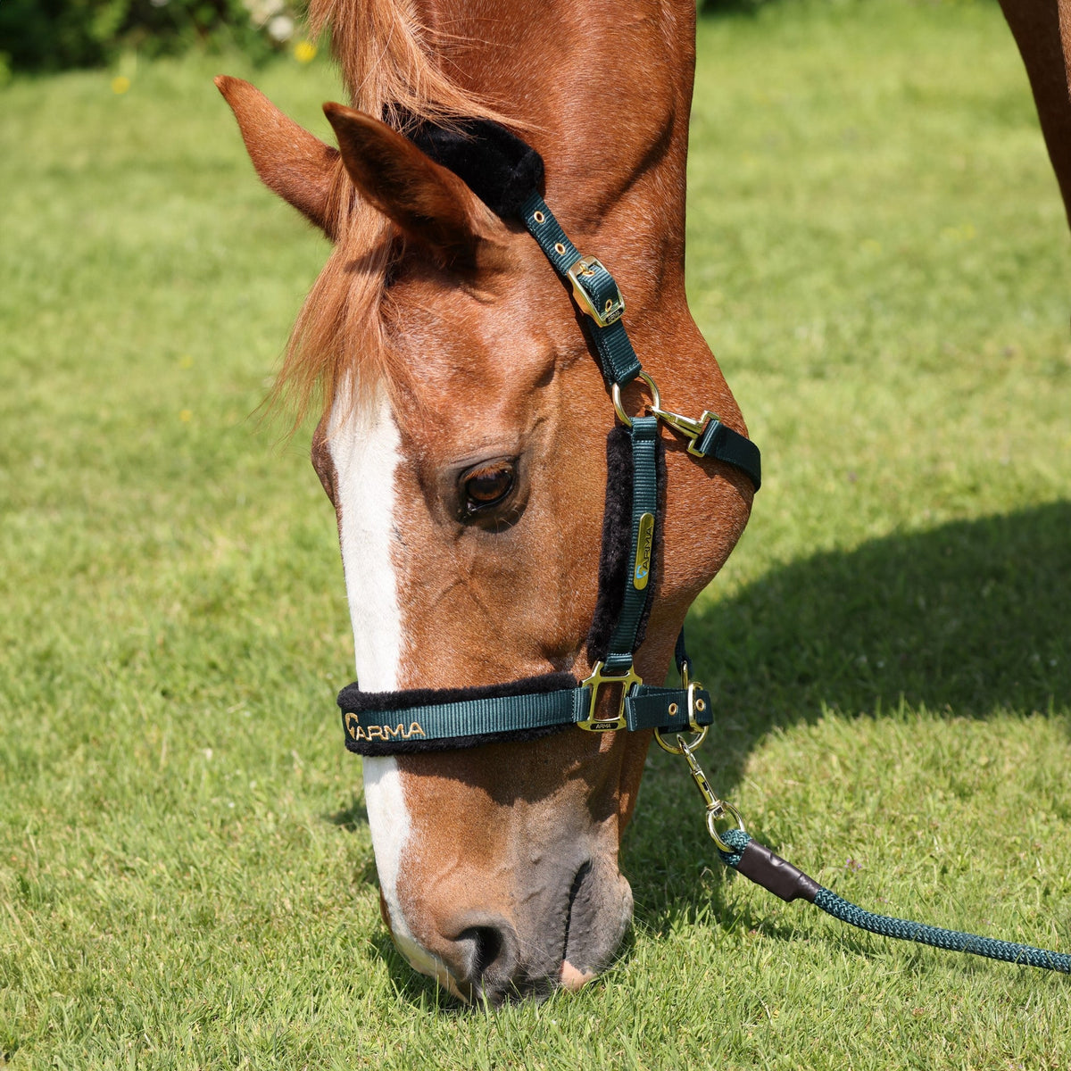 Shires ARMA Faux Fur Logo Headcollar & Lead Rope
