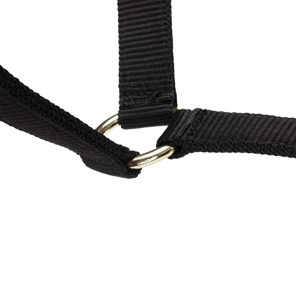 Shires ARMA Adjustable Headcollar