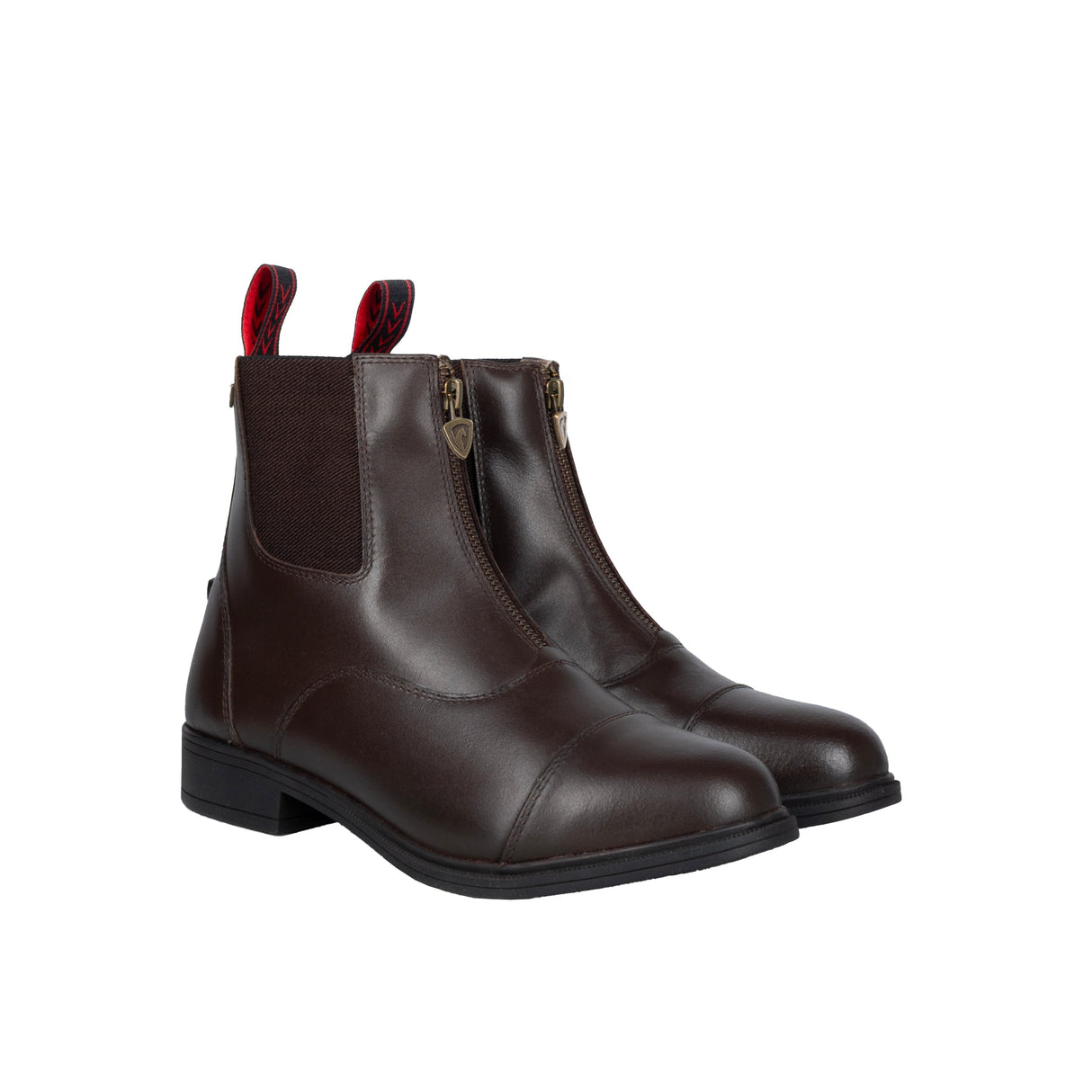 ProPriverno Davanti Zip Paddock Boot by Hy Equestrian #colour_brown
