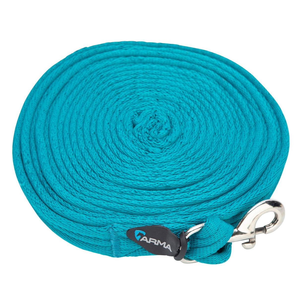 Shires Kissen -Web -Lunge -Linie