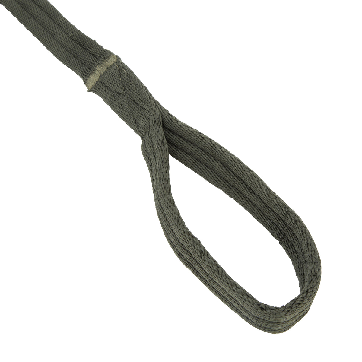 Shires Coussin Web Linet Lunge