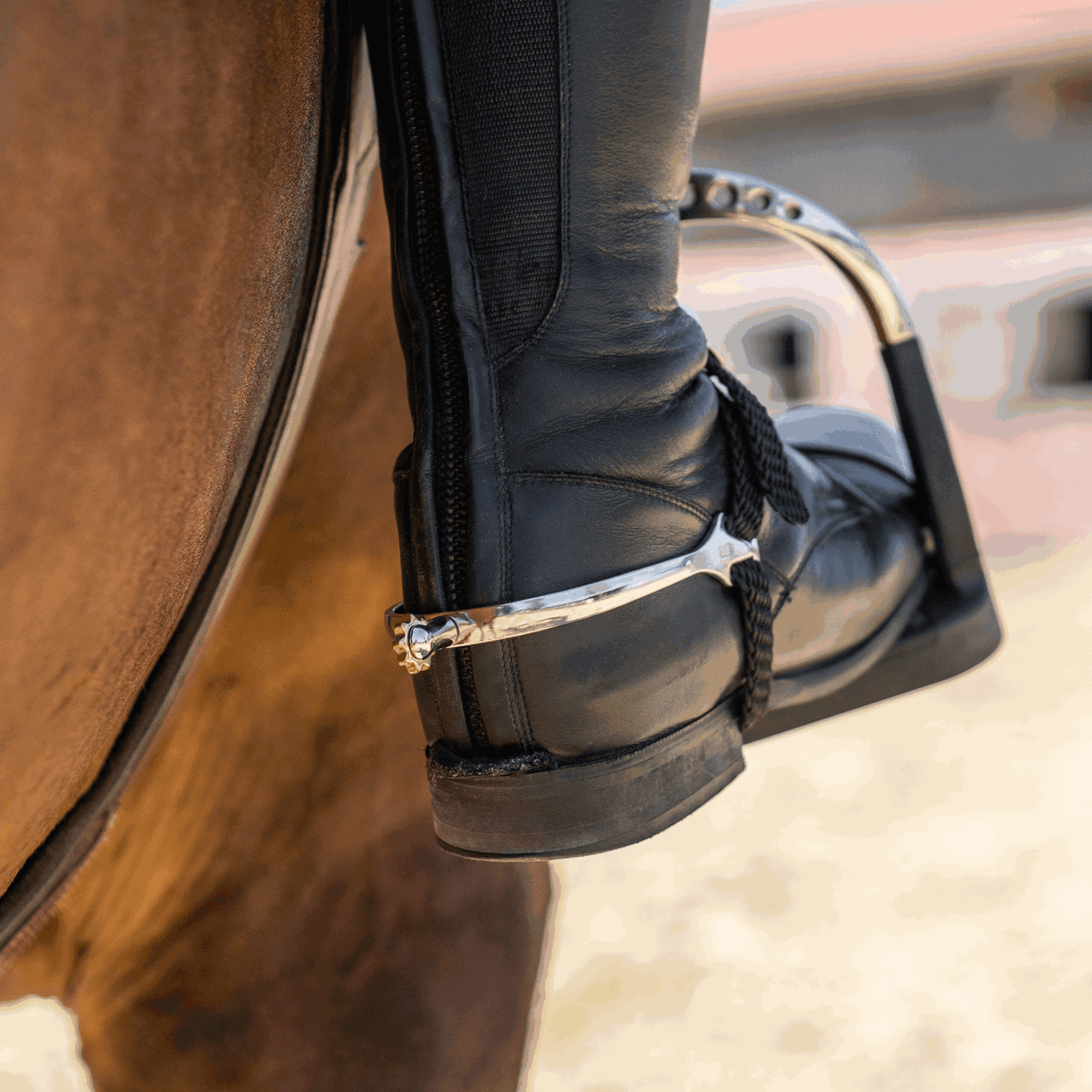 Sprenger Ultra Fit Soft Point Vert Comfort Roller Stainless Steel Spurs