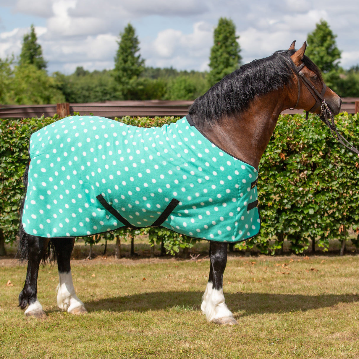 Supreme Products Dotty Fleece Rug #colour_gorgeous-green