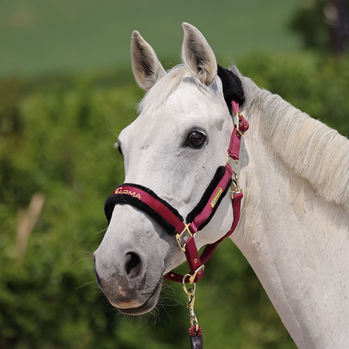 Shires ARMA Faux Fur Logo Headcollar & Lead Rope