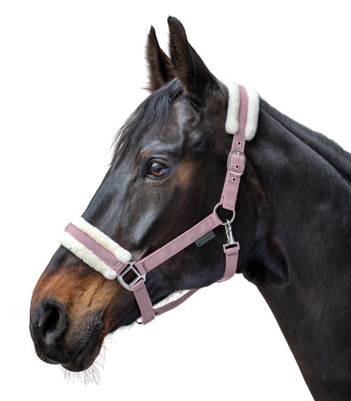Waldhausen First Halter #colour_cherry-blossom