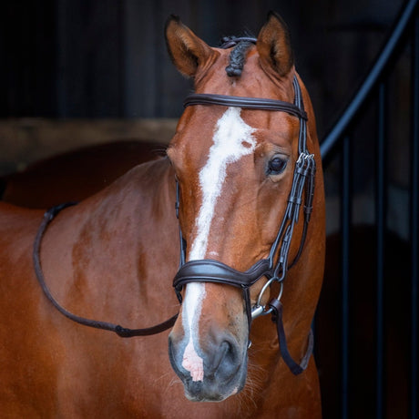 Shires Velociti RAPIDA Ergonomic Flash Bridle #colour_havana