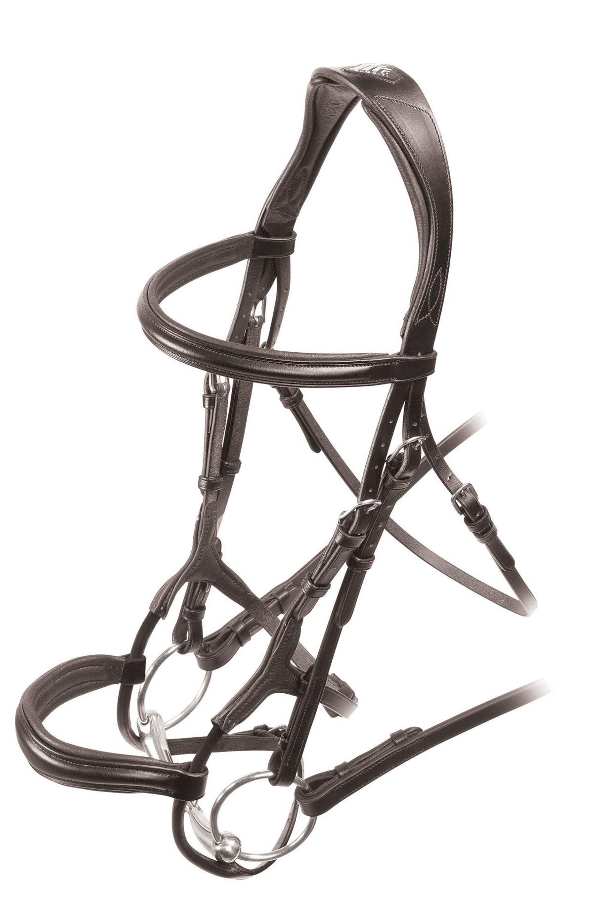 Shires Velociti RAPIDA Rolled Padded Cavesson Bridle #colour_havana