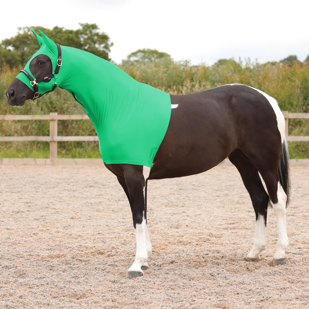 Supreme Products Two in One Hood #colour_emerald