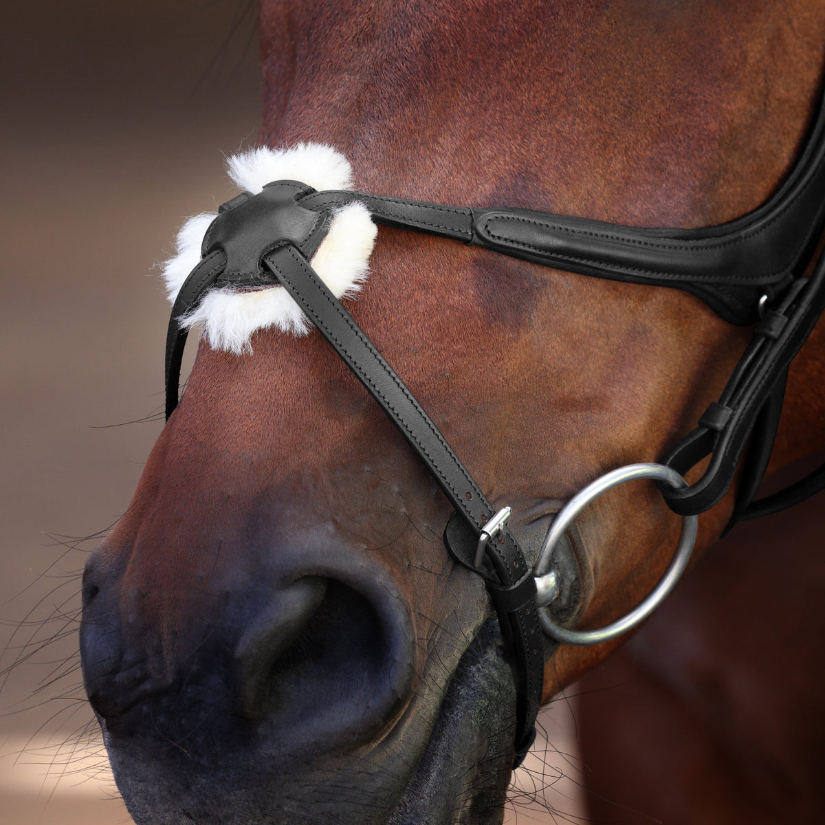 Shires Velociti Lusso Elite Grackle Bridle