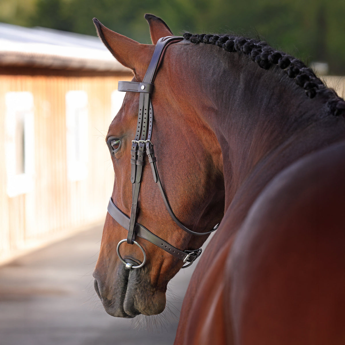 Shires Velociti LUSSO Elite Hunter Bridle