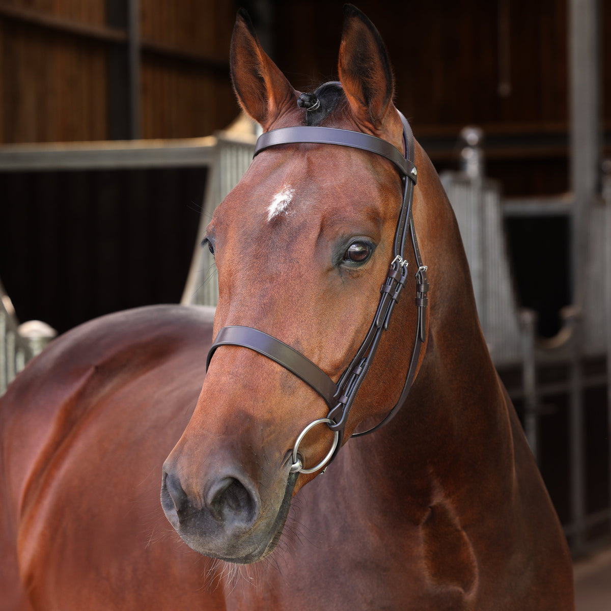 Shires Velociti LUSSO Elite Hunter Bridle