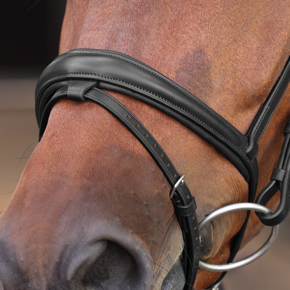 Shires Velociti LUSSO Elite Padded Raised Flash Bridle