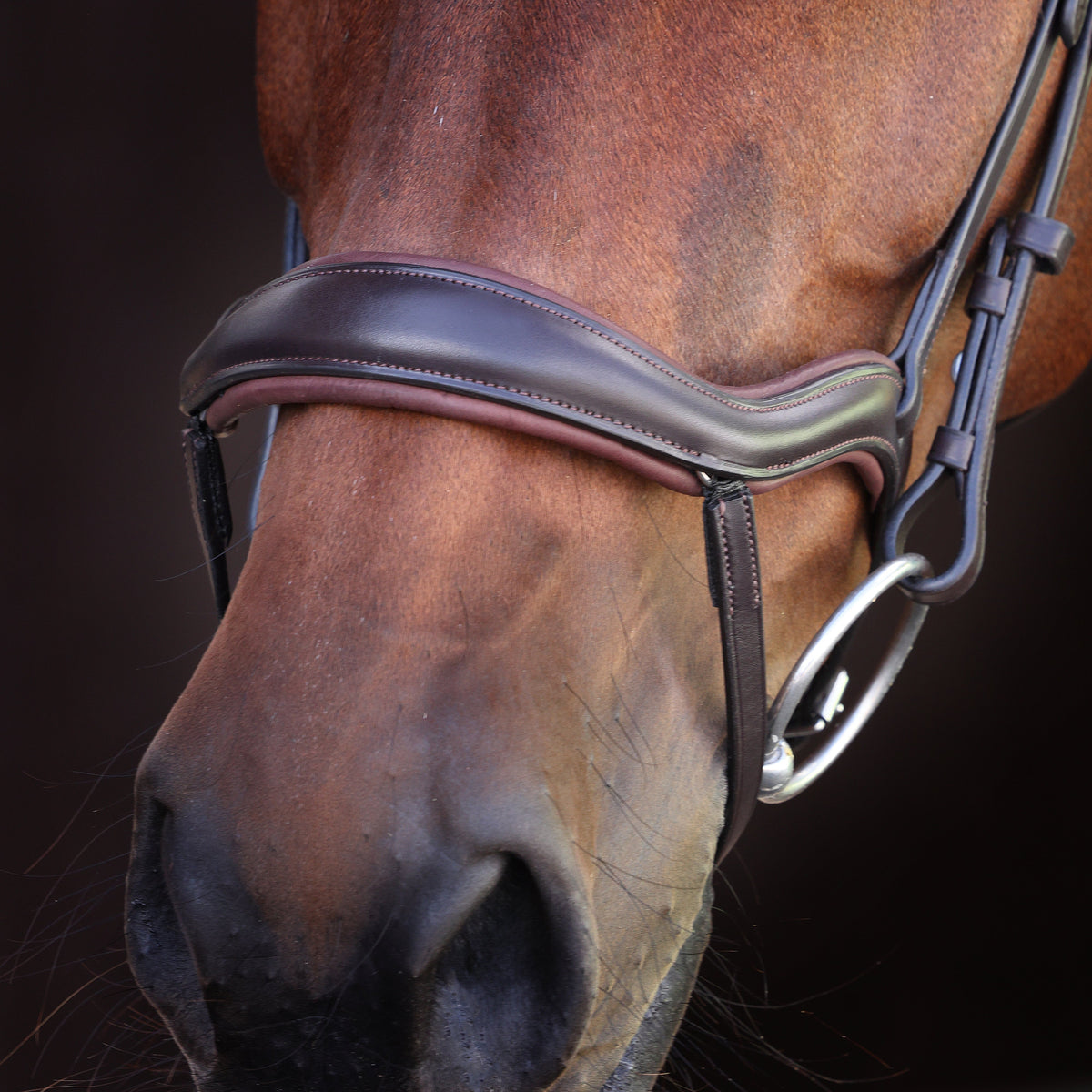 Shires Velociti LUSSO Elite Ergonomic Flash Bridle