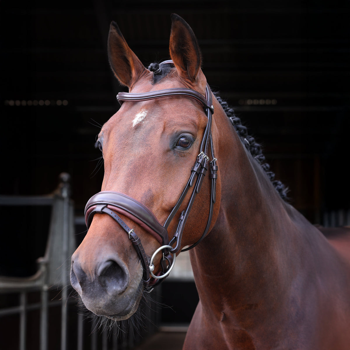 Shires Velociti LUSSO Elite Dressage Flash Bridle