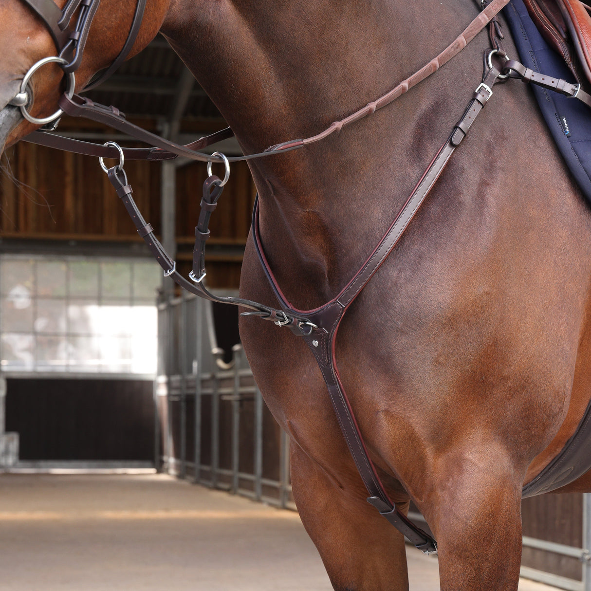 Shires Velociti LUSSO Elite Close Contact Breastplate