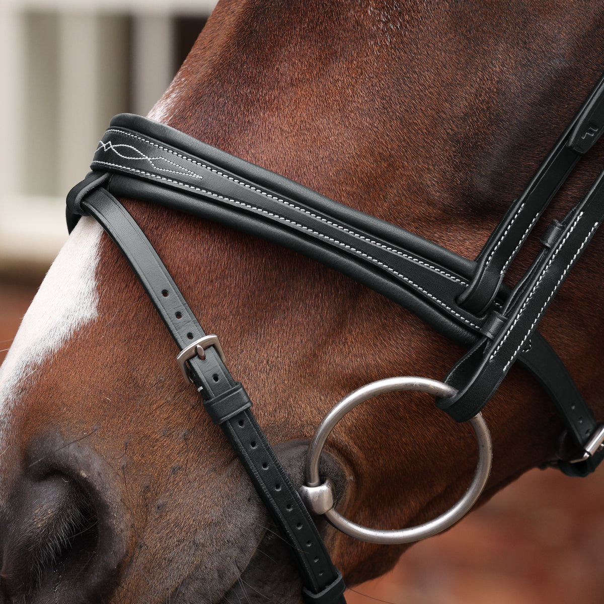 Shires Velociti LUSSO Opus 180M Padded Flash Bridle