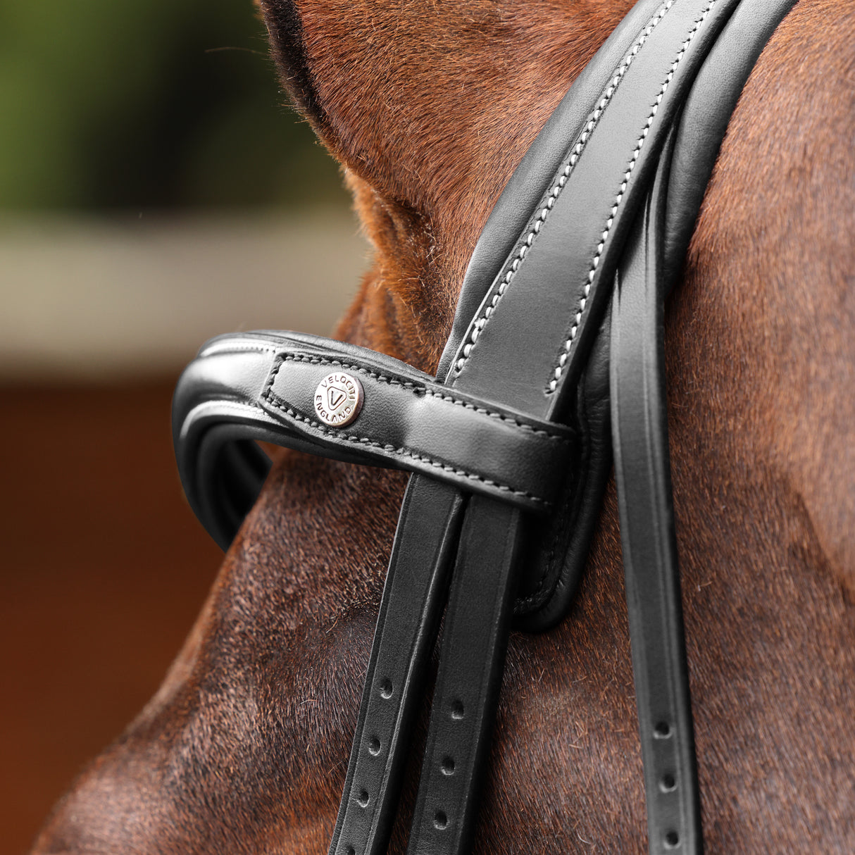 Shires Velociti LUSSO Opus 180M Padded Flash Bridle #colour_black