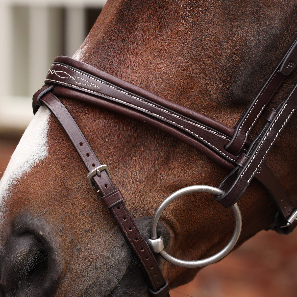 Shires Velociti LUSSO Opus 180M Padded Flash Bridle
